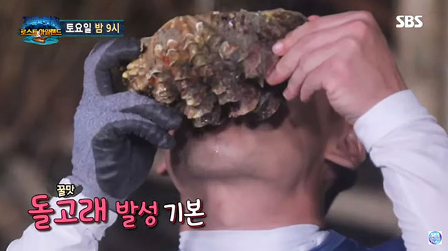 หอยมือเสือ