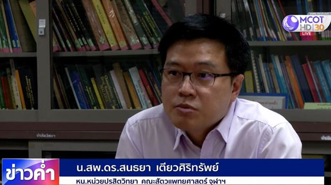 โรคจากหมัดแมว