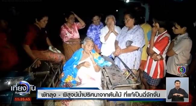 ปริศนาละอองน้ำจากต้นสะตอ 
