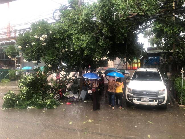 ลมฝนถล่มแจ้งวัฒนะ