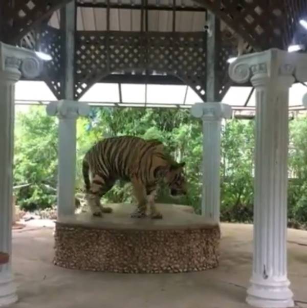  สวนสัตว์