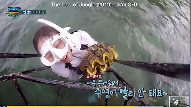 หอยมือเสือ