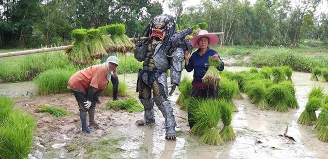 พรีเดเตอร์ โผล่กลางทุ่ง