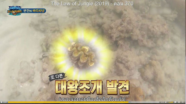 หอยมือเสือ