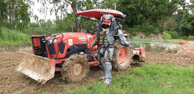 พรีเดเตอร์ โผล่กลางทุ่ง