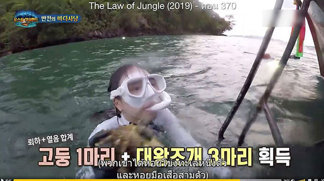 หอยมือเสือ