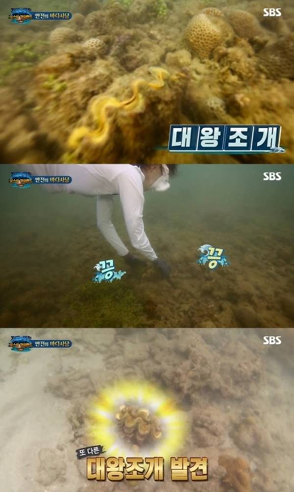 หอยมือเสือ