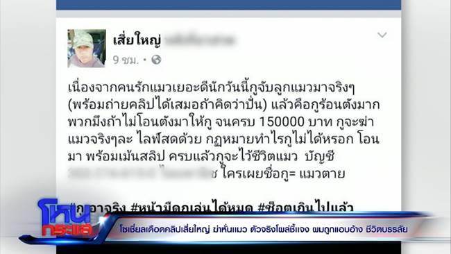 เสี่ยใหญ่ฆ่าแมว