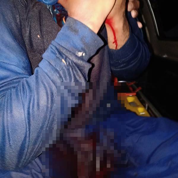 ปลาเต็กเล้ง 