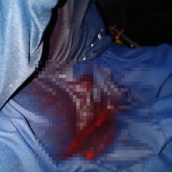 ปลาเต็กเล้ง 