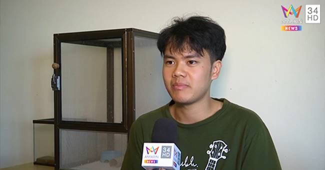 รับจ้างจับจิ้งจก ตุ๊กแก แมลงสาบ