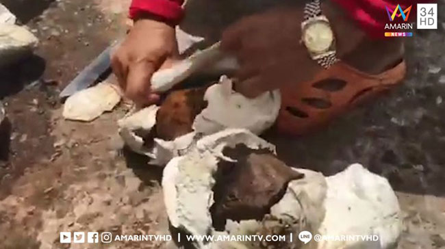 โกงราคายาง