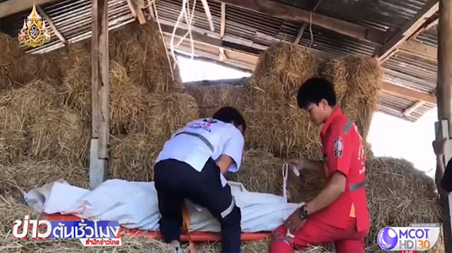พี่ฆ่าน้อง