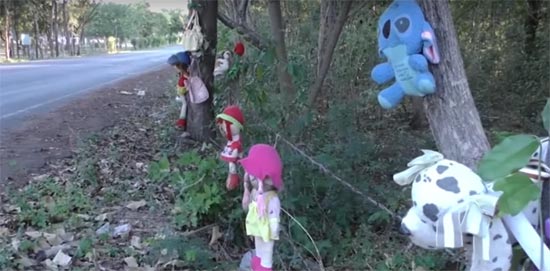 โค้งขวัญผวา ! คนนำตุ๊กตาห้อยต้นไม้ เจ้าหน้าที่จับเผาเรียบ หวั่นเกิดอุบัติเหตุ