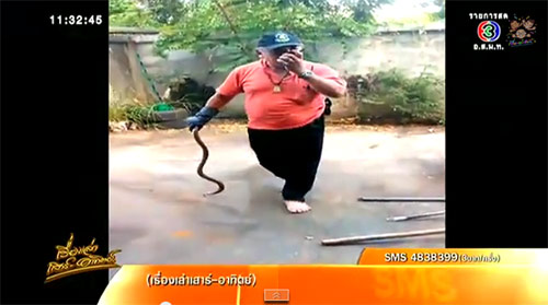 กู้ภัยพลาดโดนงูเห่าปลวกฉก อาการโคม่า