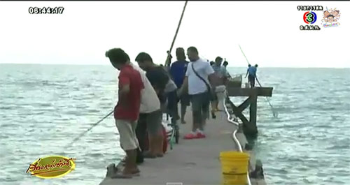 แมงกะพรุนส้มโอ ลอยเต็มทะเลระยอง ประมงแห่จับสร้างรายได้เสริม