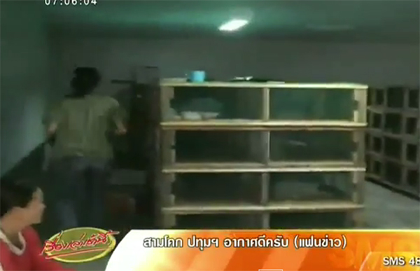 ร้อง คสช. ตรวจฟาร์มเถื่อน เลี้ยงงูเหลือม-งูหลาม เกือบพันตัว !