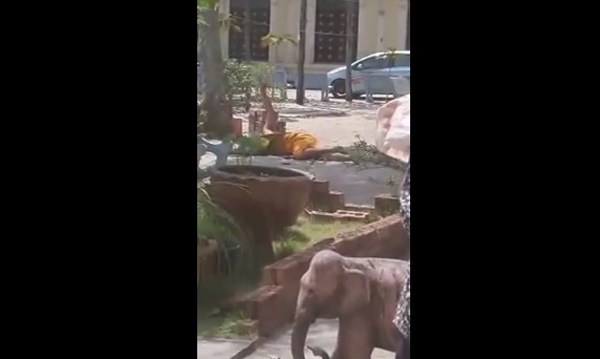 แชร์ว่อน คลิปทำร้ายพระสงฆ์กลางวัดชื่อดัง อ้างสติไม่สมประกอบ