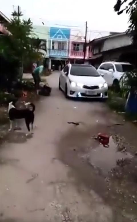 ผัวโหดเตะเมีย