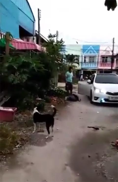 ผัวโหดเตะเมีย