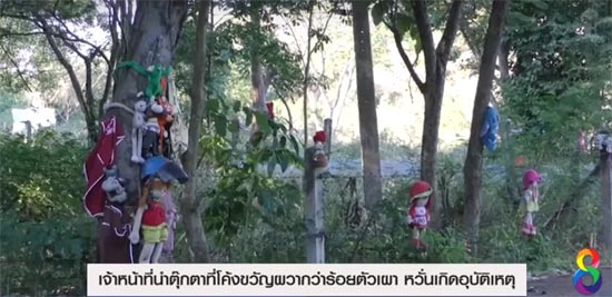 โค้งขวัญผวา ! คนนำตุ๊กตาห้อยต้นไม้ เจ้าหน้าที่จับเผาเรียบ หวั่นเกิดอุบัติเหตุ