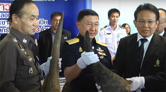 กรมศุลกากร ยึดนอแรดมูลค่านับร้อยล้าน ชี้มีตำรวจ-ข้าราชการเอี่ยวด้วย