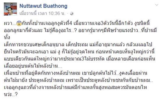 คลิปหนุ่มเจอลูกงูเข้าบ้านบ่อย