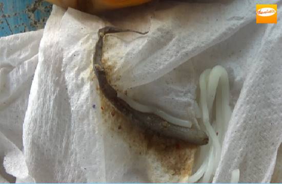ผวา ! เจอหางจิ้งจกในนำยาขนมจีนที่พิษณุโลก แถมก่อนหน้าเคยเจอไส้เดือนอีก