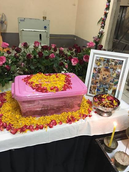 หนุ่มเศร้าสุนัขที่รักจากไป