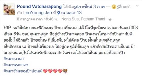 หนุ่มเศร้าสุนัขที่รักจากไป