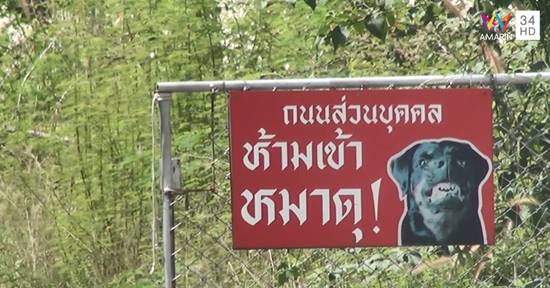 สาวเหยื่อฝูงร็อตไวเลอร์ขย้ำ