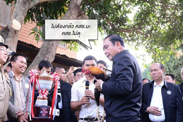 บิ๊กตู่ คุยกับไก่เหลืองหางขาว 