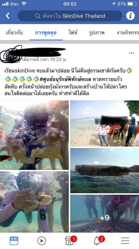 ปล่อยปลาการ์ตูน