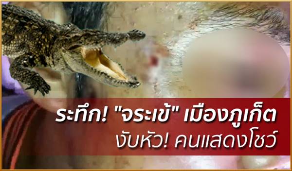 จระเข้งับหัว