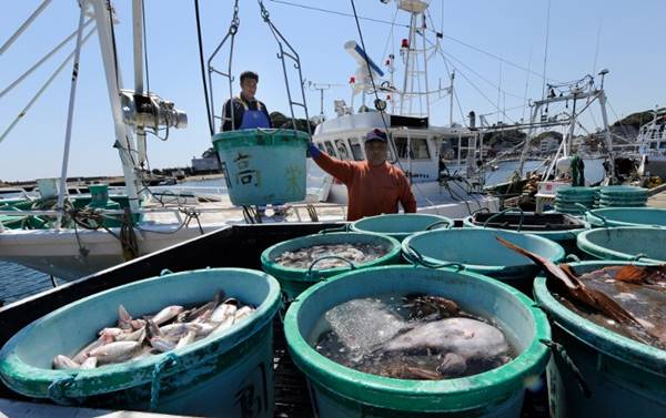 ปลาจากฟุกุชิมะ