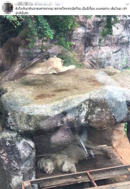 สวนสัตว์เขาดิน