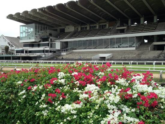 ปิดตำนานสนามม้านางเลิ้ง