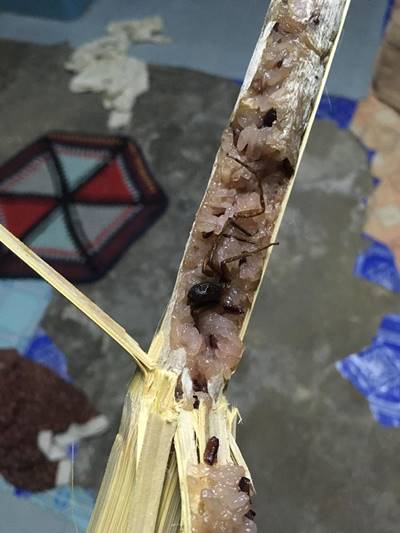 ข้าวหลาม