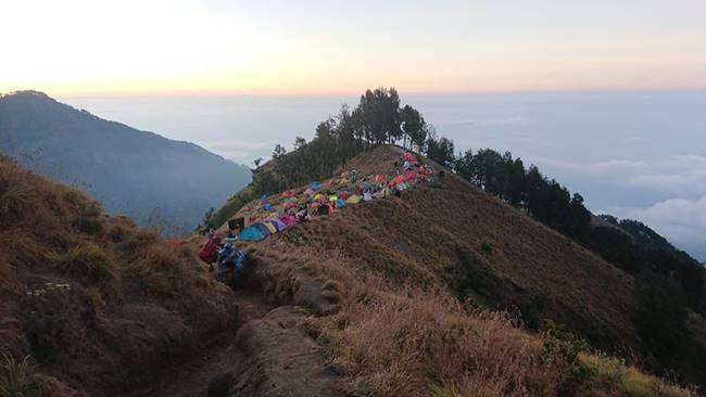 ข่าวแผ่นดินไหวอินโดฯ