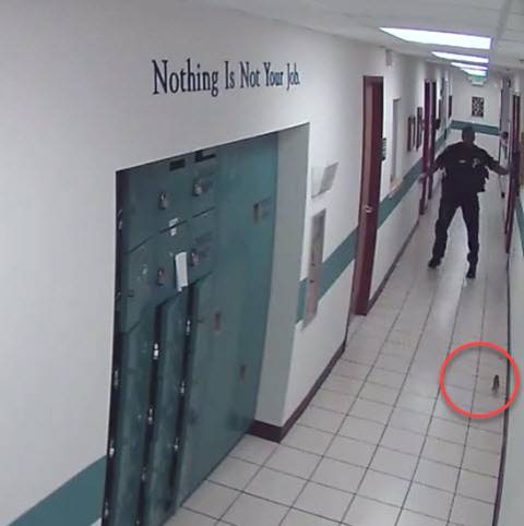 สุดอุกอาจ ! ผู้บุกรุกตัวร้ายจู่โจมโรงพัก ทำตำรวจผวาหนัก 