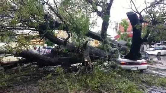 ระทึก ! ฟ้าผ่าเปรี้ยงใส่ต้นมะขาม 2 ครั้งซ้อน หักโค่นทับรถจนแบนแต๋ดแต๋