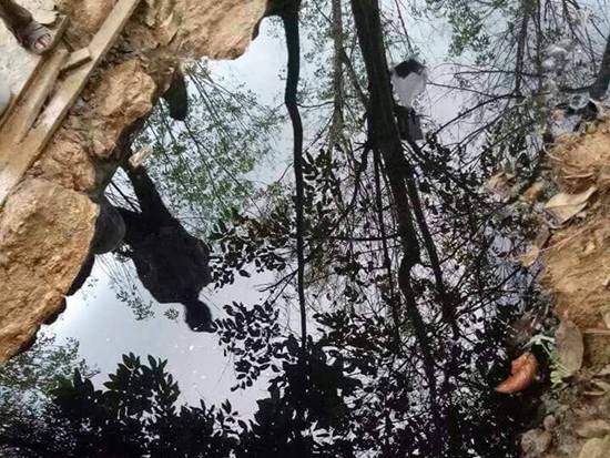 สาธารณสุข ชี้ บ่อน้ำดำที่นราธิวาส พบสารรักษาโรคผิวหนังได้