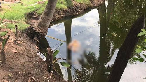 ใช้ไม้ติดตะปูฟาดหัวแม่ดับ