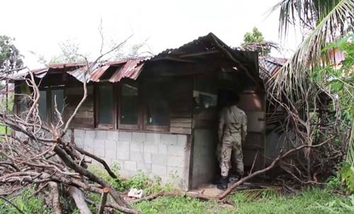 ไม้พะยูงล้มทับบ้าน