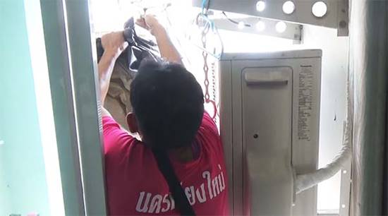  ฝูง ผึ้ง ต่อ แตน บุกทำรัง