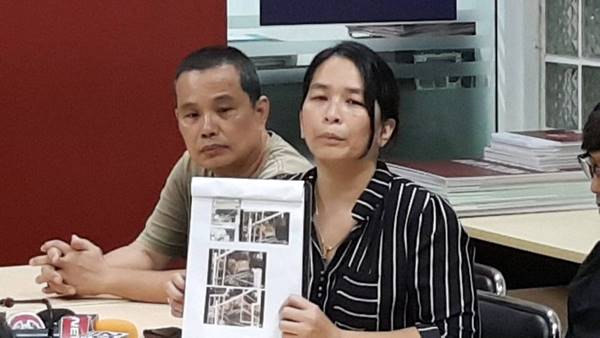 ทารุณกรรมสัตว์