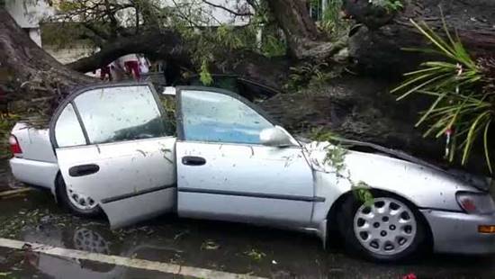 ระทึก ! ฟ้าผ่าเปรี้ยงใส่ต้นมะขาม 2 ครั้งซ้อน หักโค่นทับรถจนแบนแต๋ดแต๋