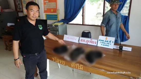 เมนูพิสดาร ! จับหนุ่มน่านครอบครองอุ้งตีนหมีควาย คาดเตรียมส่งขายทำยาบำรุง    