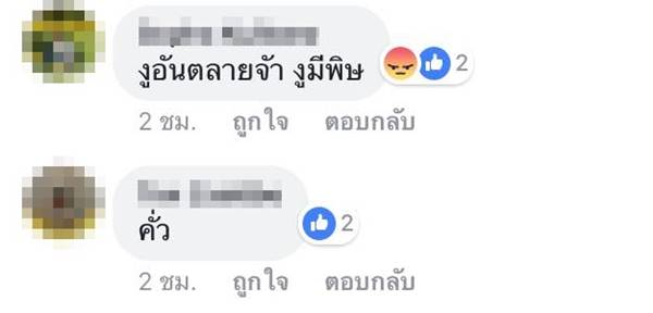 ชาวบ้านเจองูก้นขบ