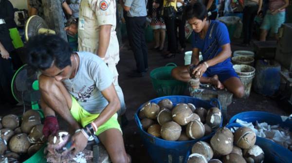 โรงงานวุ้นมะพร้าว